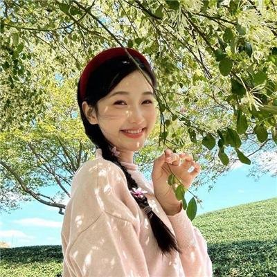芙蓉仙子封面